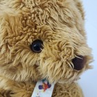 Fao Schwarz Fifth Avenue Teddy Bear Plush Brown Shaggy 23 Inch Toy Soldier Ribbo