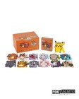 Pok  mon Tcg  Brave Stars Card Case Keychain Blind Box  chinese 