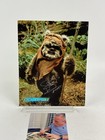 Warwick Davis 8x10 Signed Star Wars Celebration Ii   Ewok Coolwaters Certificate
