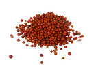 Chiltepin Pepper Seeds  chilli Seeds  Bulk   8 Oz  12 Oz  1 Lb  2 Lbs    5 Lbs 