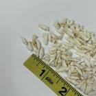 Lot Of 100 Assorted Small Coyote Teeth Real Cleaned Taxidermy Weird Goth  2481