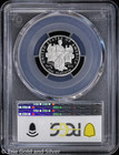 2006-w  25 1 4 Oz Proof Platinum Eagle Pcgs Pr 69 Dcam