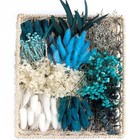 Diy Natural Preserved Flower Kit  Wholesale Preserved Flowers For Vases  Blue