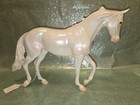 Peter Stone Thoroughbred Stallion  Arctic Fox In Glossy Finish  