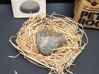 Vintage Original 1975 Pet Rock Complete With Rock  Instruction Book And Nest