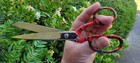 Gingher Collectable Designer Dressmaker s Shears   Mia    8   Free Shipping