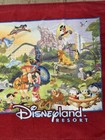 Vintage Disneyland Resorts Disney World Dinkus Villains Dragon Beach Towel 58x30