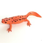 Nature Techni Colour Figure Magnet Japanese Fire Belly Newt Red Ikimon Japan