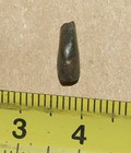 Ptyctodus -tooth  Of Placoderm  devonian Armoured Fish   Voronezh Region  Russia