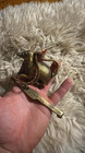 Vintage Rat-shaped Brass Padlock   Rare Animal Figurative Lock   Key   Christmas