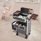 Professional Rolling Makeup Case Travel Cosmetic Storage Box Salon Trolley 50kg