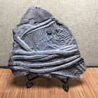 744g  Natural Stone Sculptor Decora  Specimen  Fb2065
