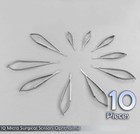 10 Micro Surgical Scissors Ophthalmic   Lab Instruments