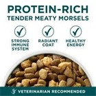 16 5 Lb Puppy Dry Dog Food Large Breed Chicken