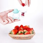 Baby Fruit Food Feeder Pacifier - Fresh Food Feeder  Infant Fruit Teething Te   