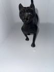 Vintage Cast Iron Bank Black Cat 9 H X 8 W X 3 1 2 Deep Heavy Cast Iron