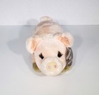 Vtg Dakin Pink Penelope Pig Squeeze For Oink Oink Sound Soft Plush Toy 10  Euc