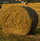 Knotless 5x5ft Round Bale Horses Hay Net 1 75  Round For Livestocks Slow Feeder