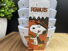 Peanuts Thanksgiving Day Charlie Brown Melamine Appetizer snack Bowls  set Of 4 