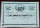 1882 Livestock Stock Certificate  Boston And Gila River Cattle Company  8