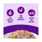Wellness Complete Health Pate Adult Canned Wet Cat Food  Natural  Protein Ric   