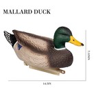 Heerweiyi Mallard Duck 2-pack  Popular New Material Eva Collapsible Plastic    