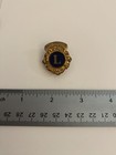 Lions Club Past President Vintage Lapel Pin P21