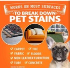Angry Orange Stain Remover   32oz Enzyme Pet Cleaner   Dog   Cat Urine Destroyer