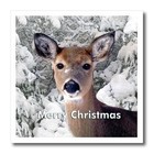 3drose Ht45693 Merry Christmas-iron On Heat Transfer For Material 10 By 10-inch