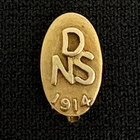 Rare Antique 12k Gold Dental Nursing School Pin 1914 Dns Collectors Tie Lapel