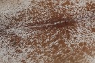 New Cowhide Rugs Area Cow Skin Leather 26 18 Sq feet  65 x58   Cow Hide U-1306