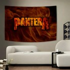 Pantera Heavy Metal Band Tapestry Fabric Wall Hanging Flag Banner Poster 36x60  