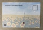 New Postcard 4x6 Sunflower Field