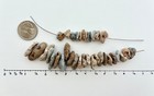 35 Adder Holey Beach Rocks Hag Stones Fairy Lucky Wish Magic Natural  1 2     a5