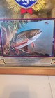 Vintage 1992 Heileman s Old Style Beer Brook Trout Bar Mirror Bar Sign 