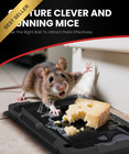 Wowcatch Sticky Mouse Traps Indoor For Home Glue Trap Boards For Mice Rat Insect