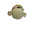 Soapsox Turtle Bath Scrub Wash Cloth Sponge Plush Toy Plush 7  With Bug Friend