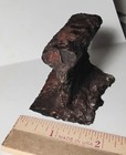 Richmond Virginia s First Electric Streecar System  1887 Worn Out Piece Of Track