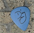 Smashing Pumpkins D arcy Wretz Guitar Pick 1994 Siamese Dream Tour Seimese Rare