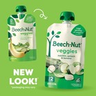 Beech-nut Baby Food Pouches  Zucchini Spinach   Banana 12 Count  12 Count