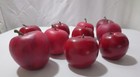 10 Realistic Artificial Imitation Faux Fake Food Replica Fruit Red Apples Props