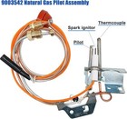 3x Water Heater Natural Gas Igniter For Reliance 9003542 100109295 For A o smith