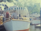 8mm Film Disneyland 1960s Home Movie Adventureland Main Street Jungle Cruise