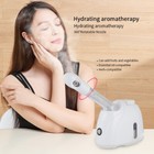 Facial Steamer Spa Professional Beauty Salon Skin Care Equipment Usa Seller