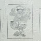 Vintage Mary Hamilton Postcard Set Of 6 Bears Flowers 3 Varieties 2 Each Sealed