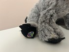 Webkinz Raccoon Stuffed Animal No Code tag