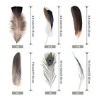 50pcs Natural Feathers Bulk-6 Style Mixed Decorative Spotted Feathers peacock   