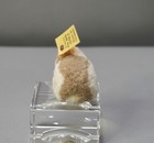 1942 Wwii Steiff Toy 2504 2 Wool Miniature Easter Rabbit Ff Button Tag Nos 4cm 