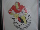 Arl Illawarra Steelers Nswrl Door Parking Sign - New 