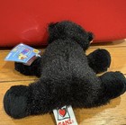 Webkinz Lil kinz Black Bear  New W  Code Tag Hs004  Plush Toy  Mini Black Bear